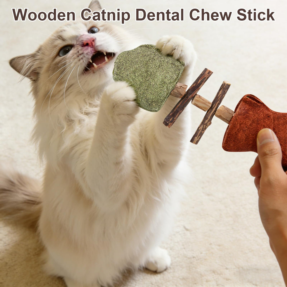 Jouet dentaire naturel pour chat – utilisation en solo