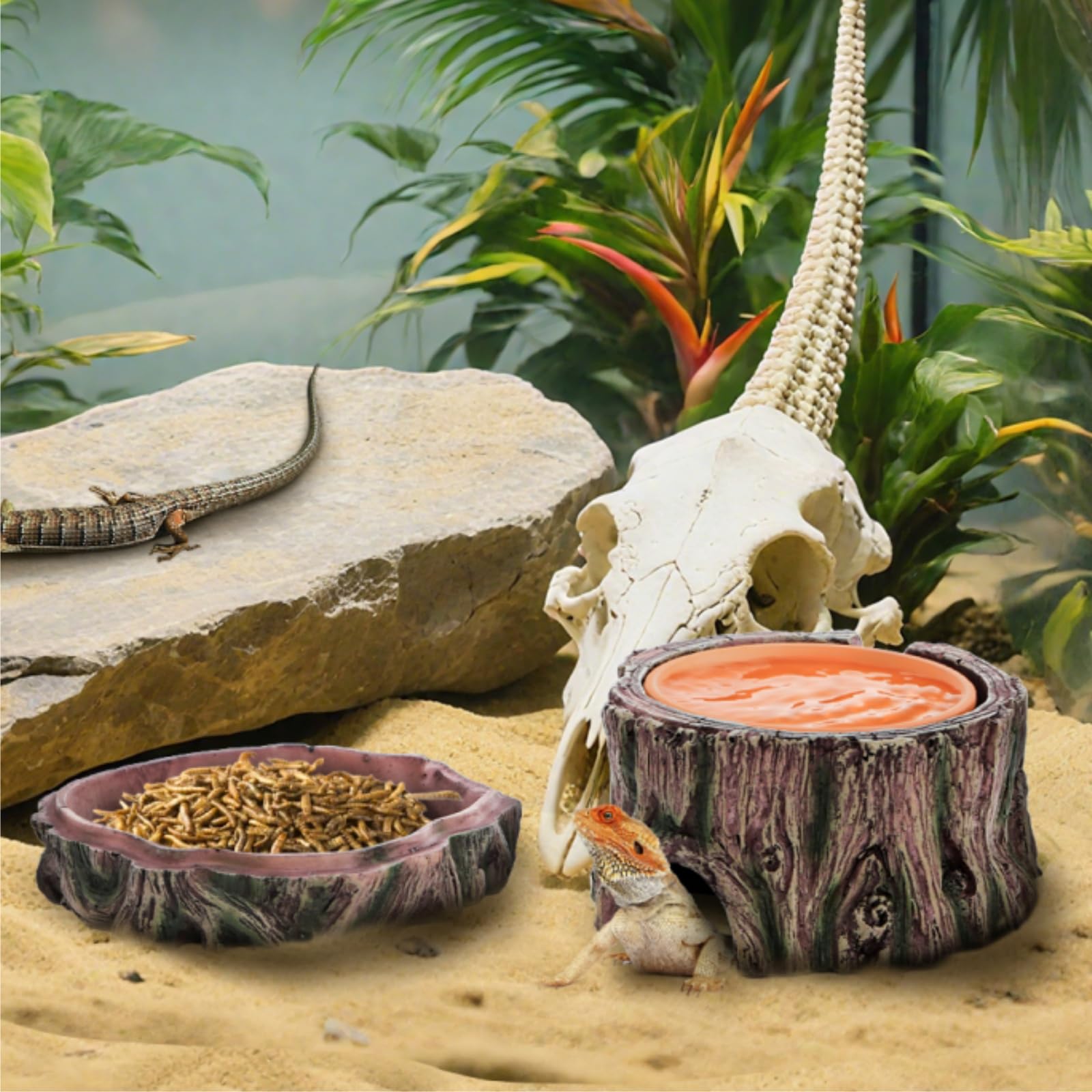 Jowgut-decor-terarium-accessoires, ajout décoratif et fonctionnel.