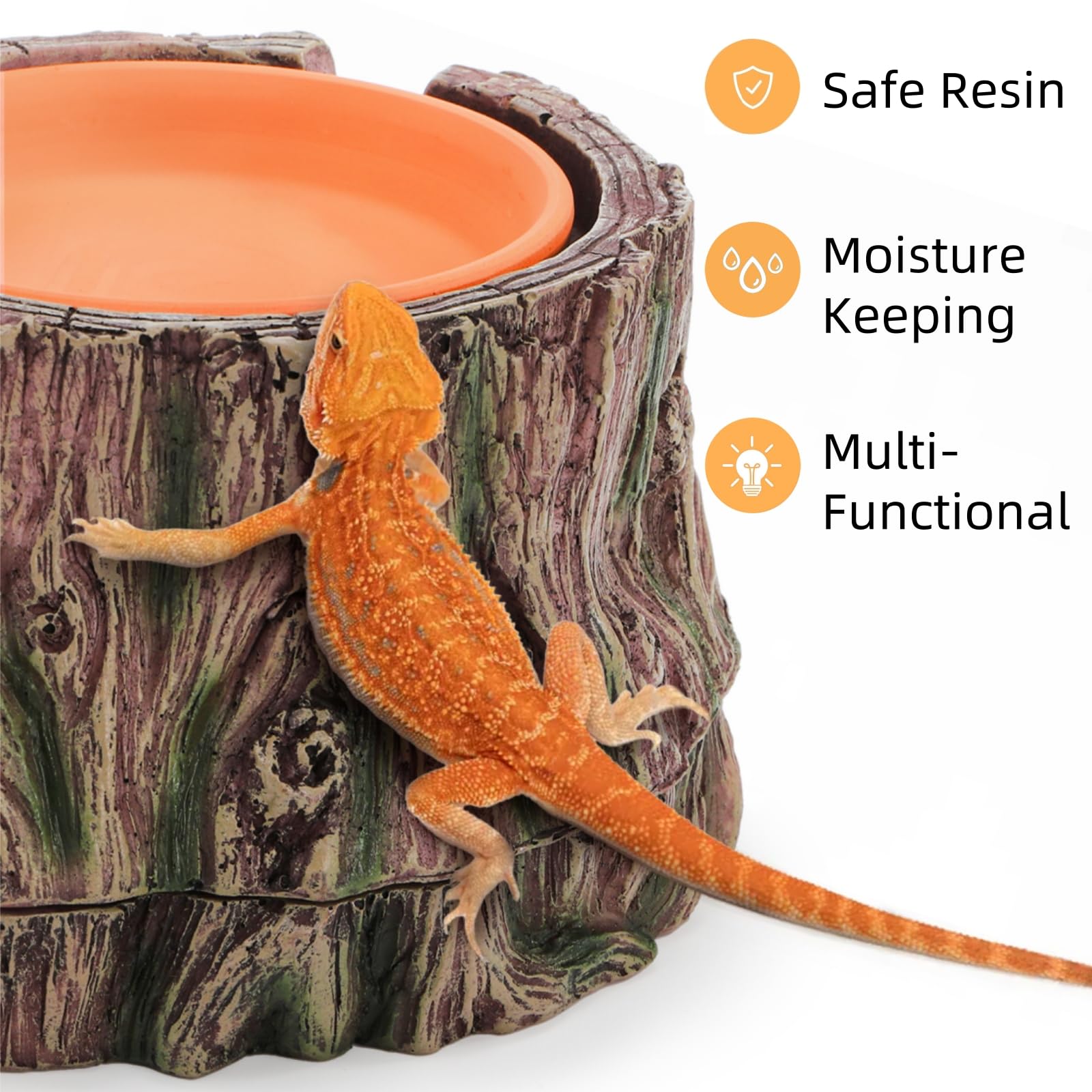 Jowgut-disque-eau-terracotta, humidité pratique pour l'habitat.