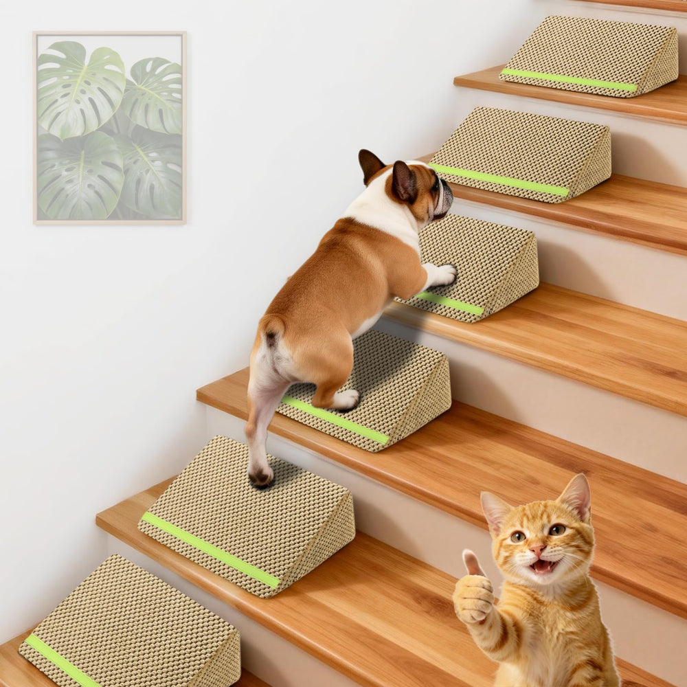 JoyBlooms Rampe pour chien avec pente douce facilitant la montée en douceur