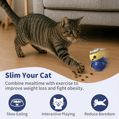 JoyBruko jouet chat sécurité ABS alimentaire et arêtes absentes.