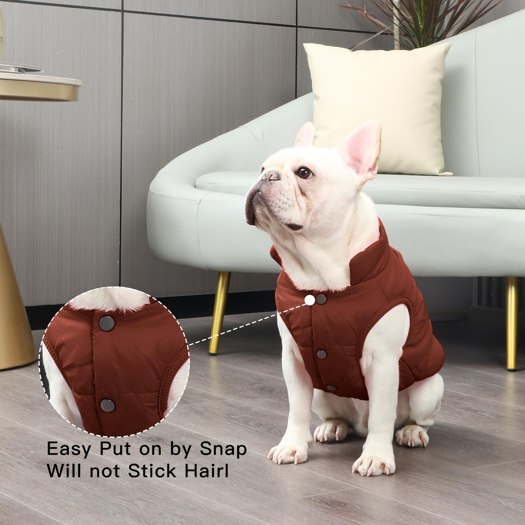 JoyDaog boutons-pression métalliques, manteau chien, facilité d'enfilage et durabilité.