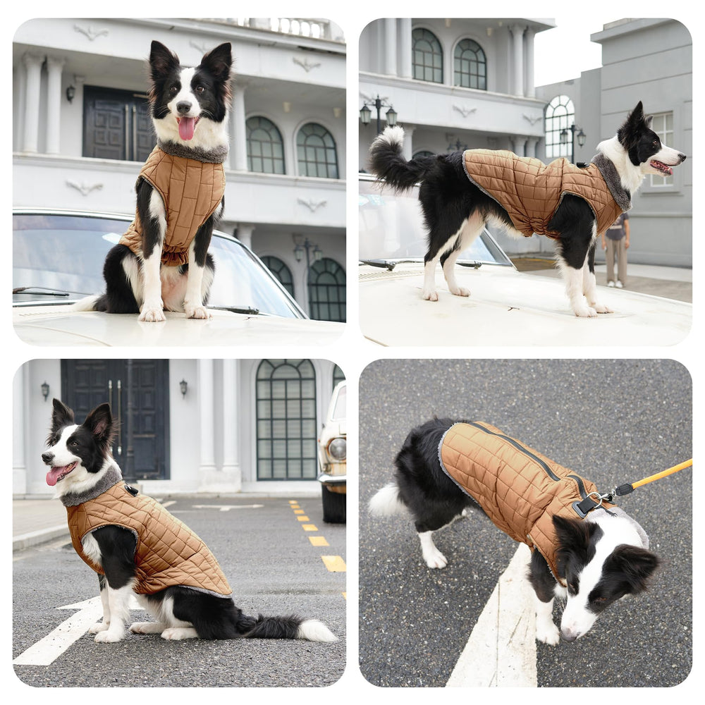 JoyDaog col polaire doux: chaleur autour du cou.