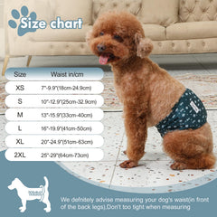 JoyDaog couches-ventre-chien-male: absorption élevée protège le sol.