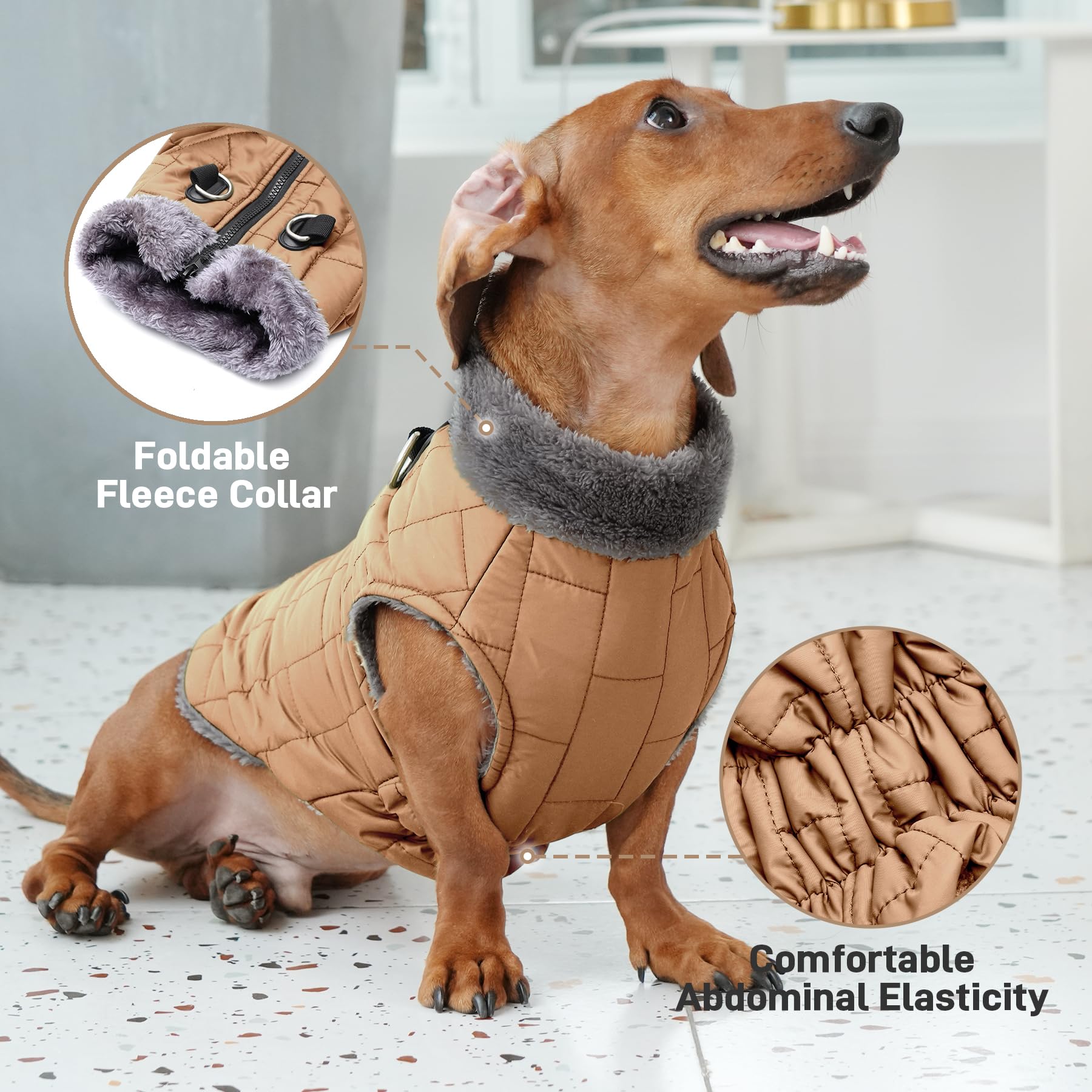 JoyDaog couture élastique ventrale, ajustement confortable pour le chien.
