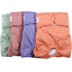 JoyDaog couches pour petits chiens avec absorption élevée et protection contre les fuites.