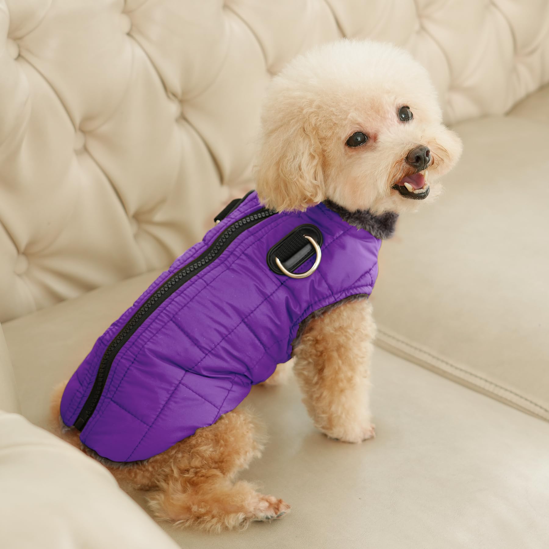 JoyDaog doublure en polaire douce, chaleur douillette pour chien