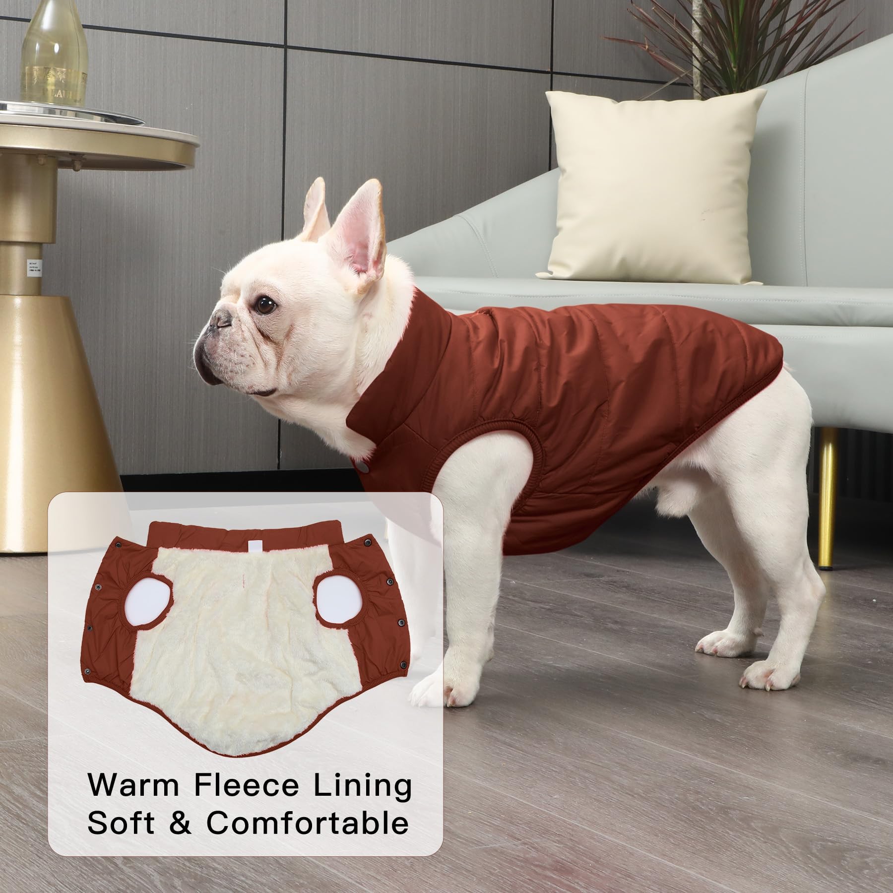 JoyDaog doublure polaire, manteau chien, rembourrage chaud.