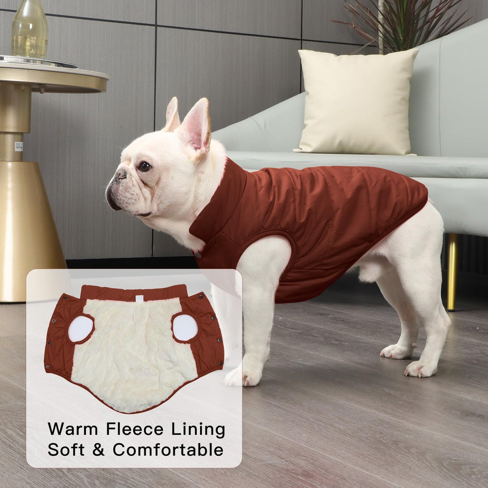 JoyDaog doublure polaire, manteau chien, rembourrage chaud.