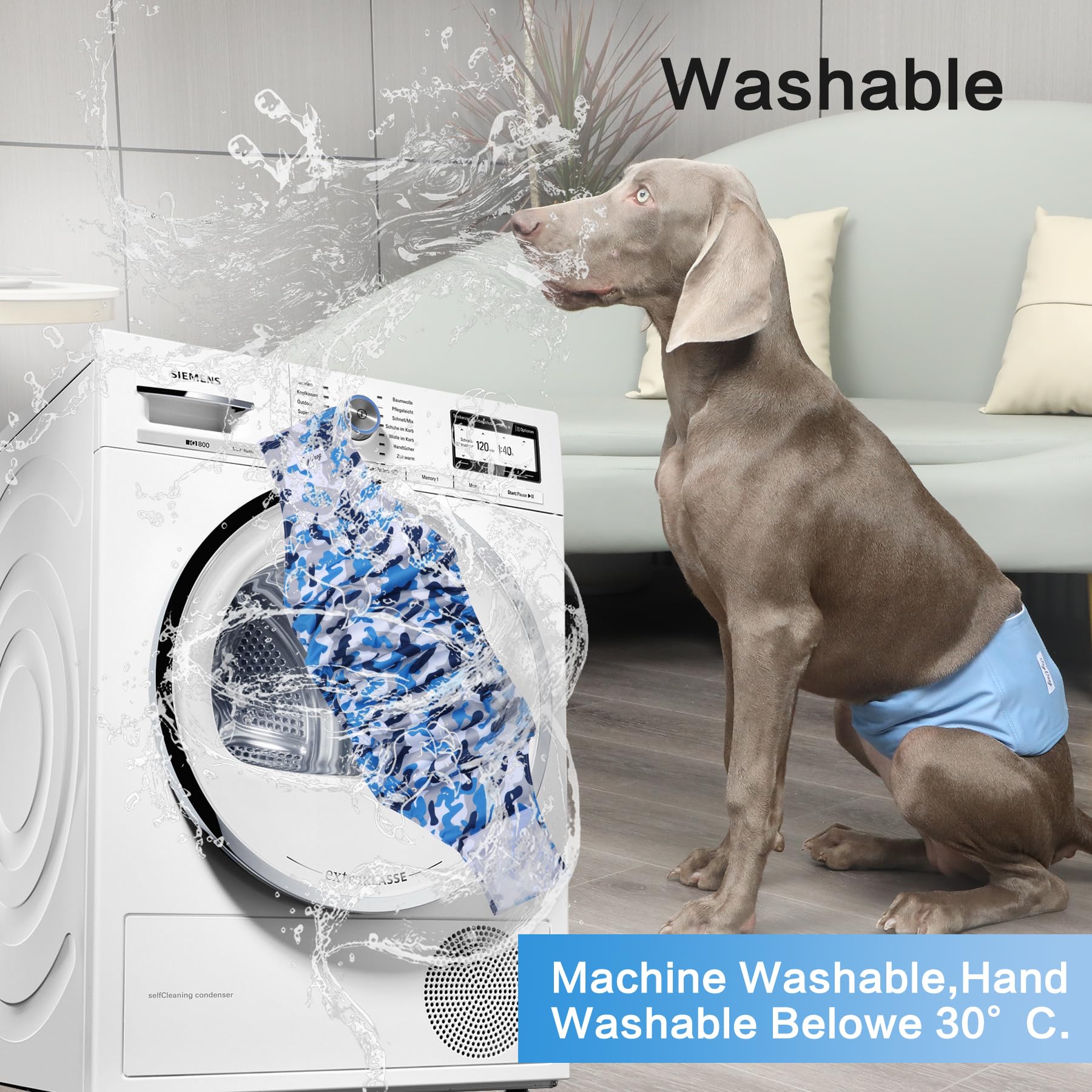 JoyDaog durable et écologique, réduction des déchets grâce à la réutilisation.