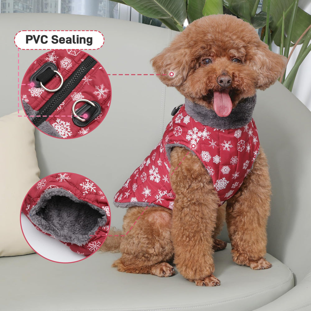 JoyDaog guide taille poitrine pour chien moyen.