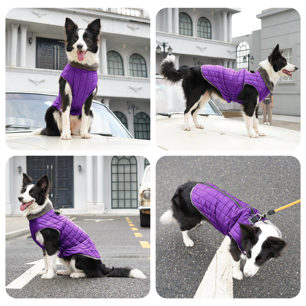 JoyDaog guide des tailles pour chien moyen, assure un ajustement correct