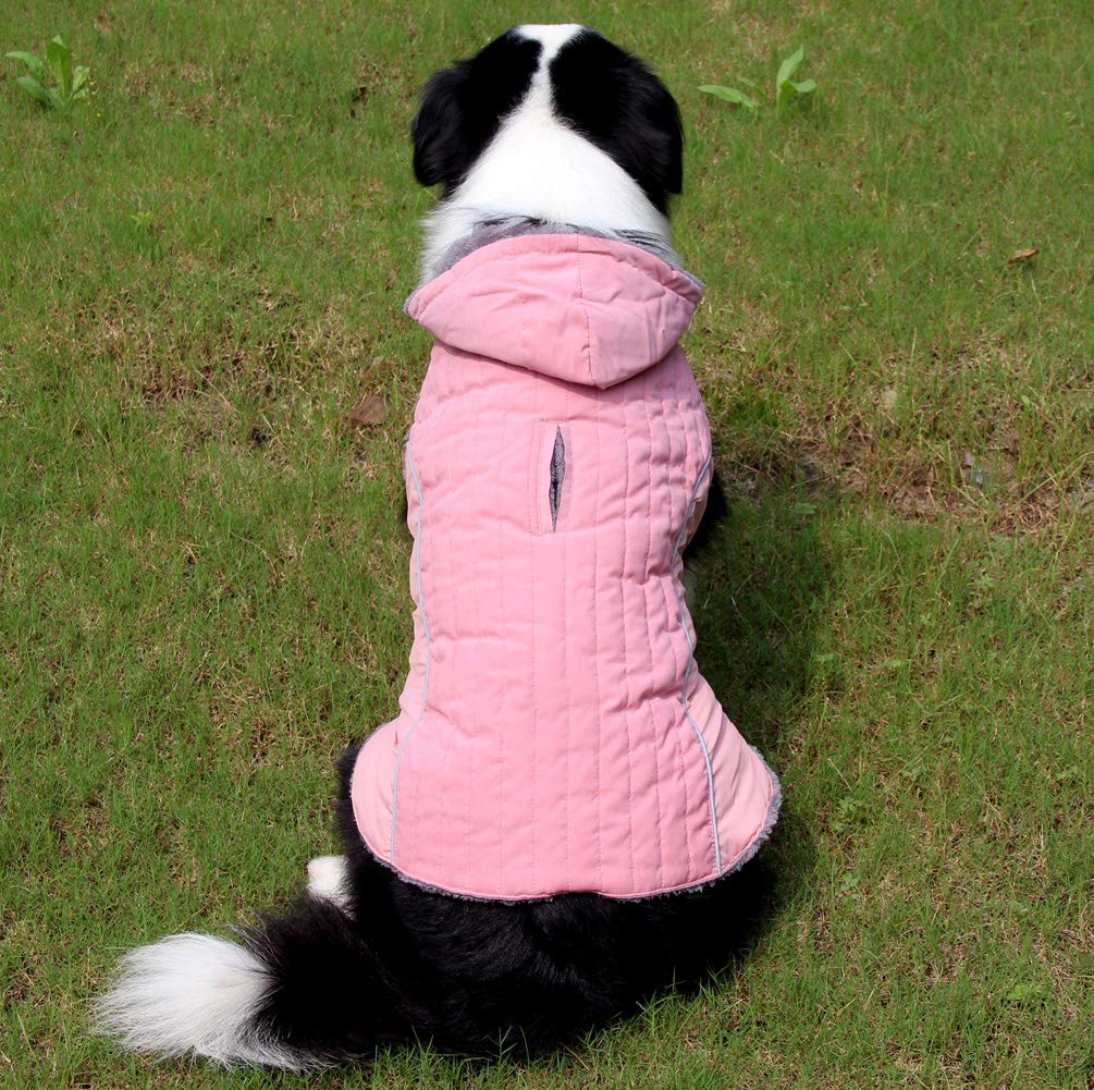 JoyDaog manteau imperméable et coupe-vent, protection lors des sorties.