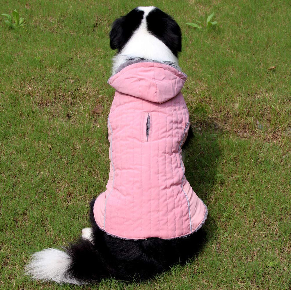JoyDaog manteau imperméable et coupe-vent, protection lors des sorties.