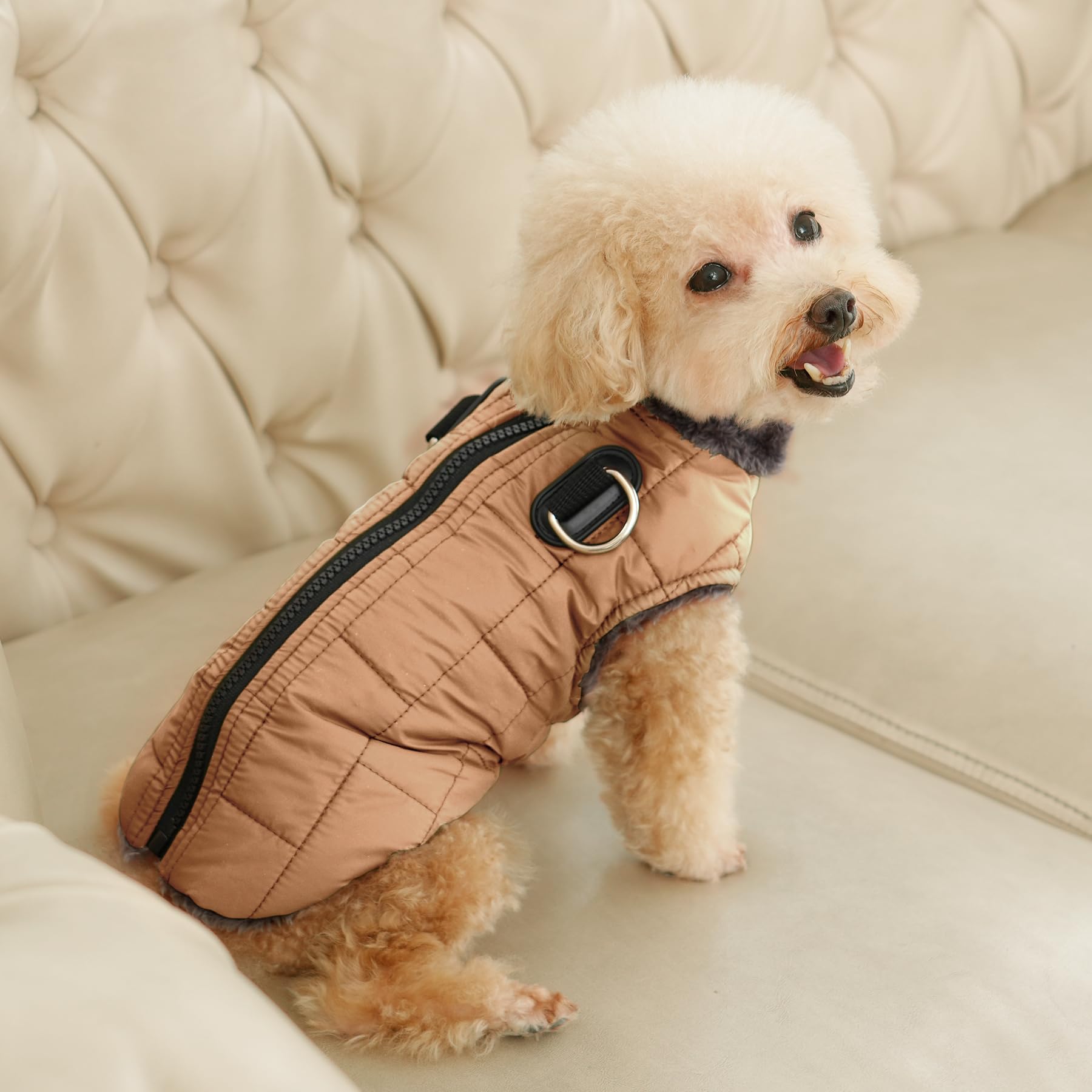 JoyDaog legereete confort: manteau léger pour grands chiens.