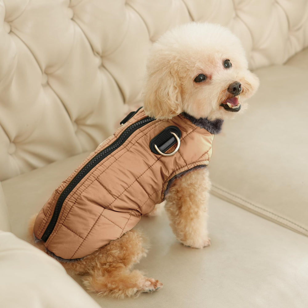 JoyDaog legereete confort: manteau léger pour grands chiens.