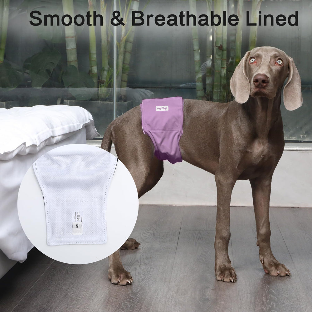 JoyDaog lot 5 couches pour chiens, solution économique au quotidien.