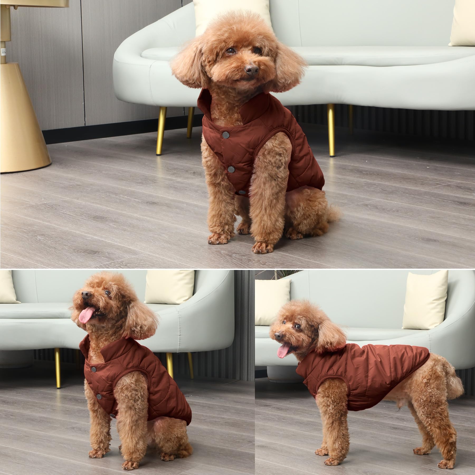JoyDaog manteau chien brun XXL, usage extérieur hivernal, léger et facile à mettre.