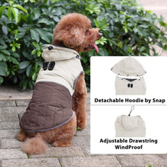 JoyDaog manteau chien capuche amovible par pressions, protection des oreilles par temps froid.