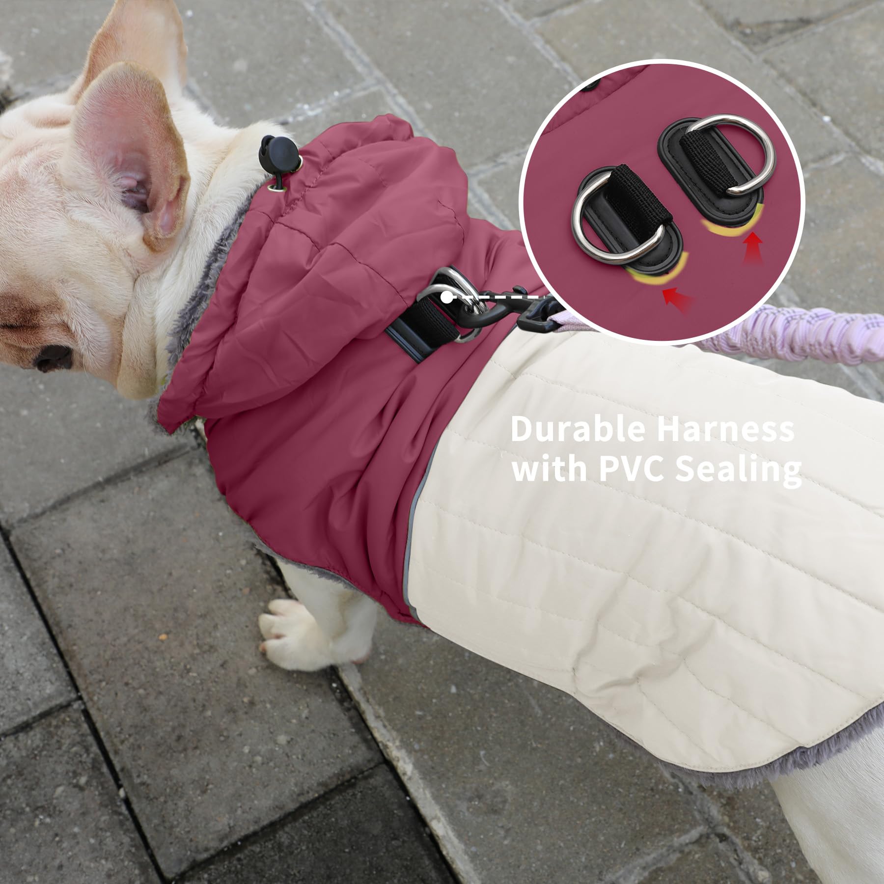 JoyDaog manteau avec ceinture élastique, ajustement confortable.