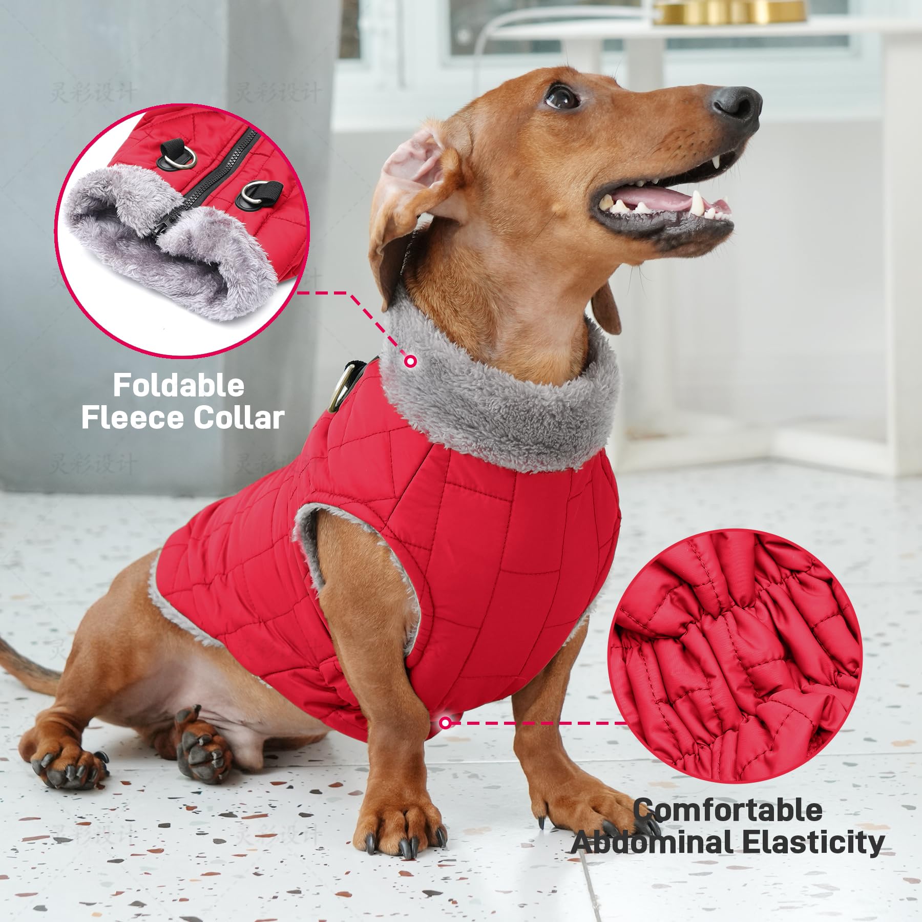 JoyDaog tissu coupe-vent léger qui garde le chien au chaud et libre de mouvement.