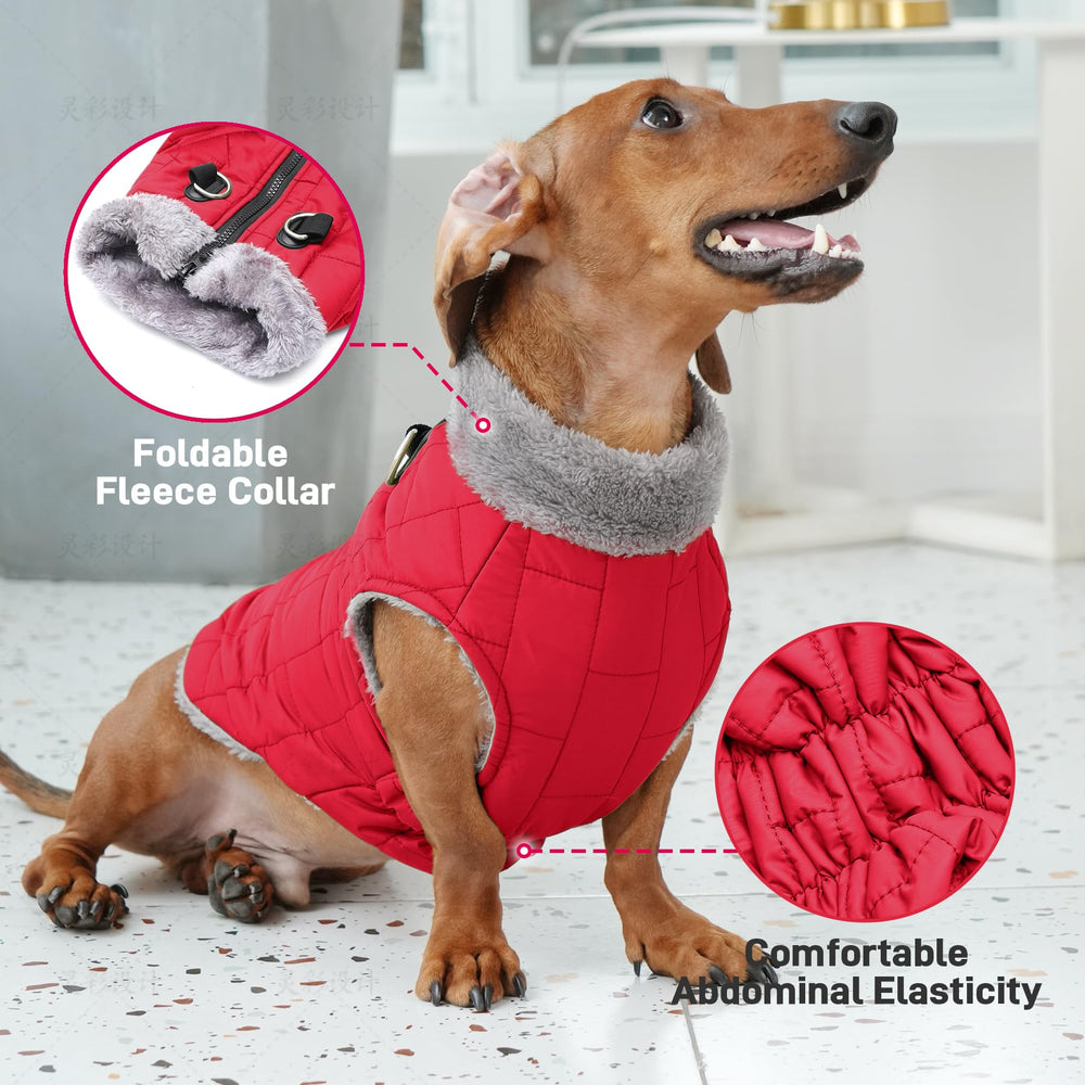 JoyDaog tissu coupe-vent léger qui garde le chien au chaud et libre de mouvement.