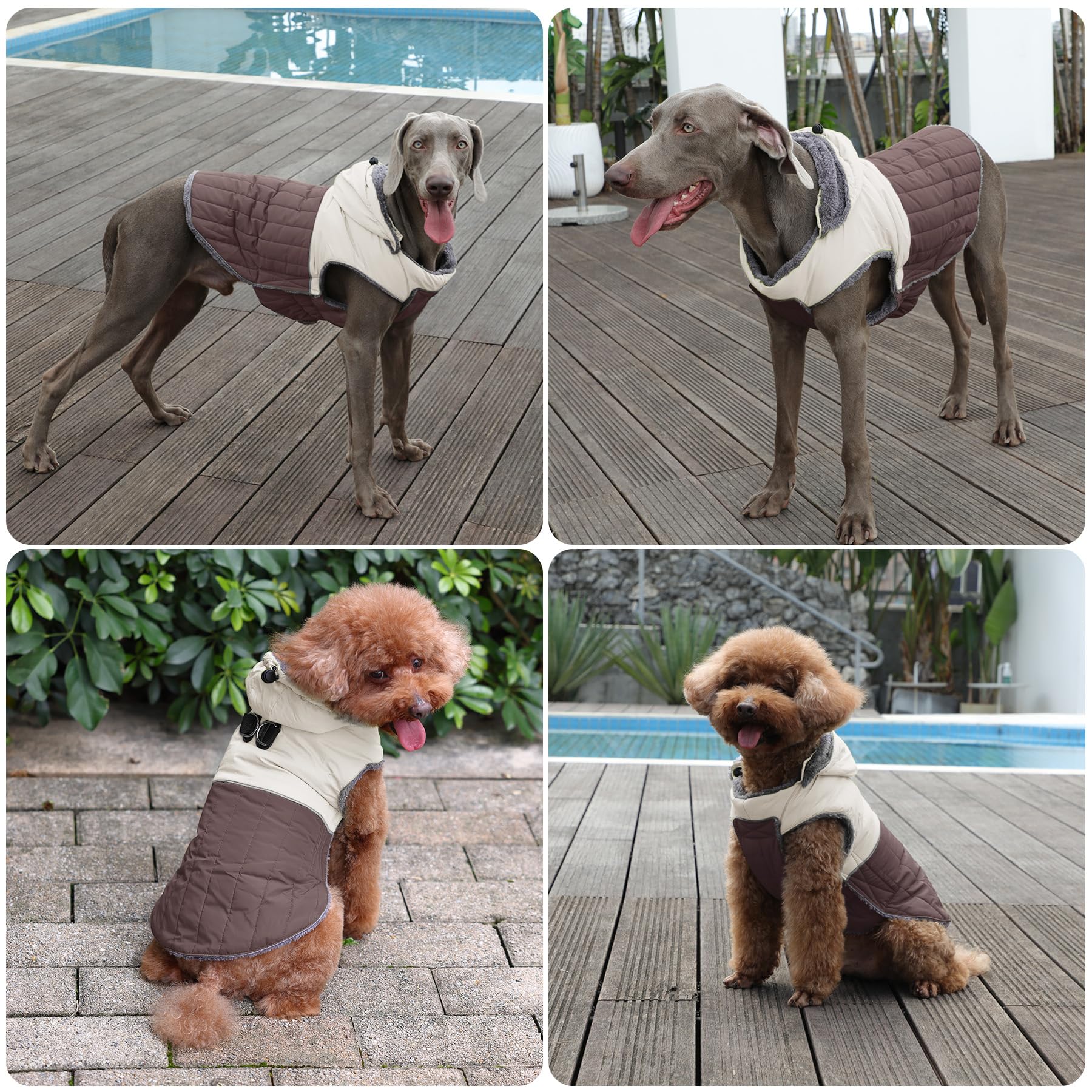 JoyDaog manteau couture en X, résistance renforcée pour les mouvements actifs.