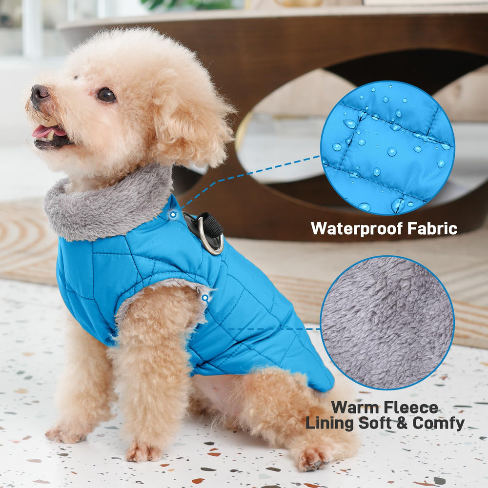 JoyDaog manteau-chien-resistance-vent, confort même par temps venteux.