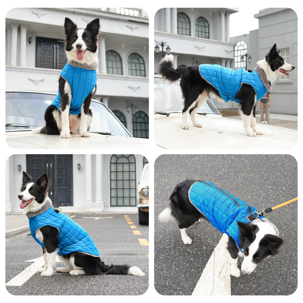 JoyDaog manteau-doublure-polaire-douce, chaleur douce lors des sorties.