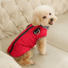 JoyDaog doublure polaire douce pour plus de chaleur lors des sorties.