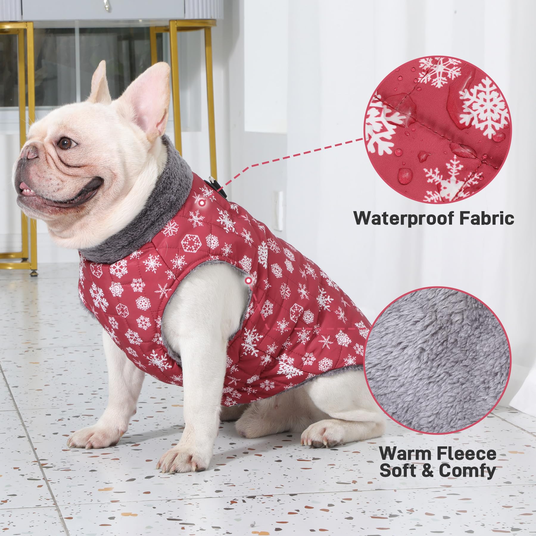 JoyDaog manteau chien elastique abdominal pour plus de confort.