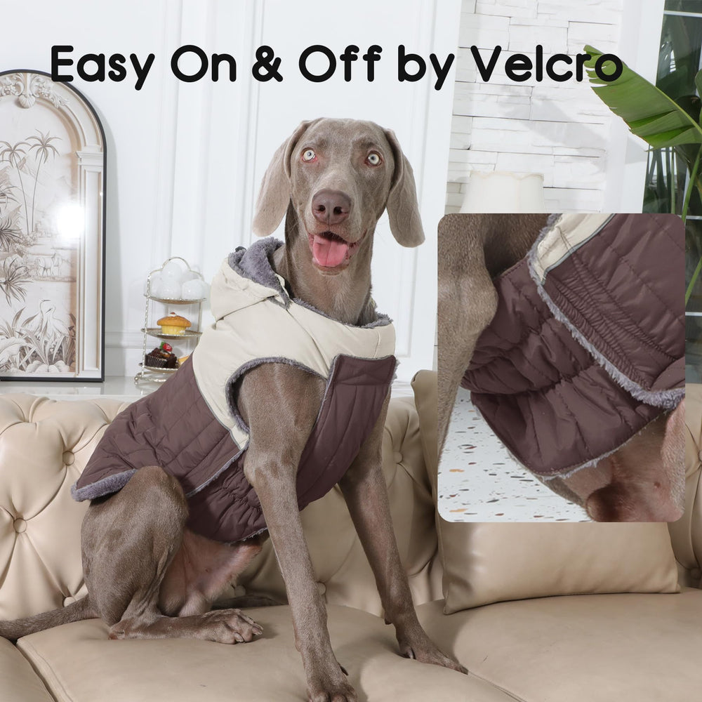 JoyDaog manteau chien facile à enfiler et lavable, routine d'entretien sans souci.
