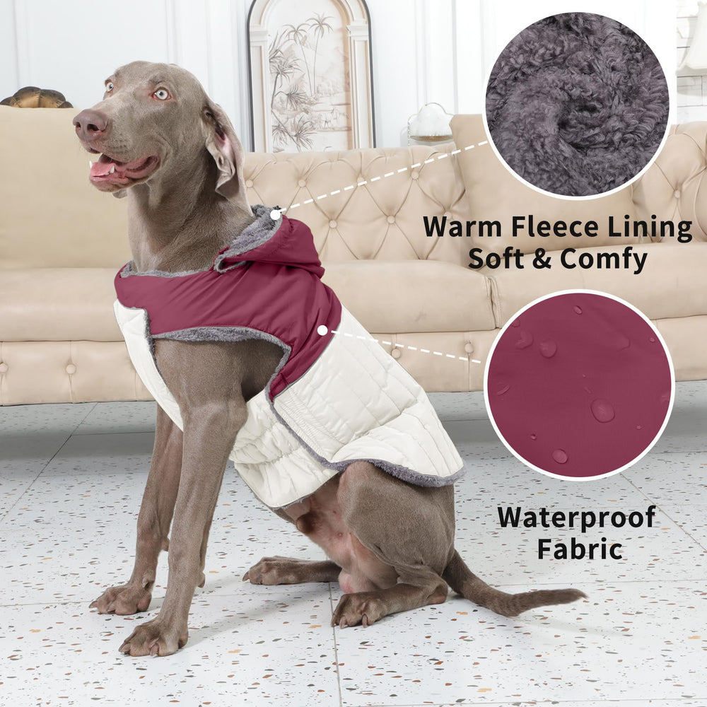 JoyDaog manteau durable avec capuche et fermetures faciles.