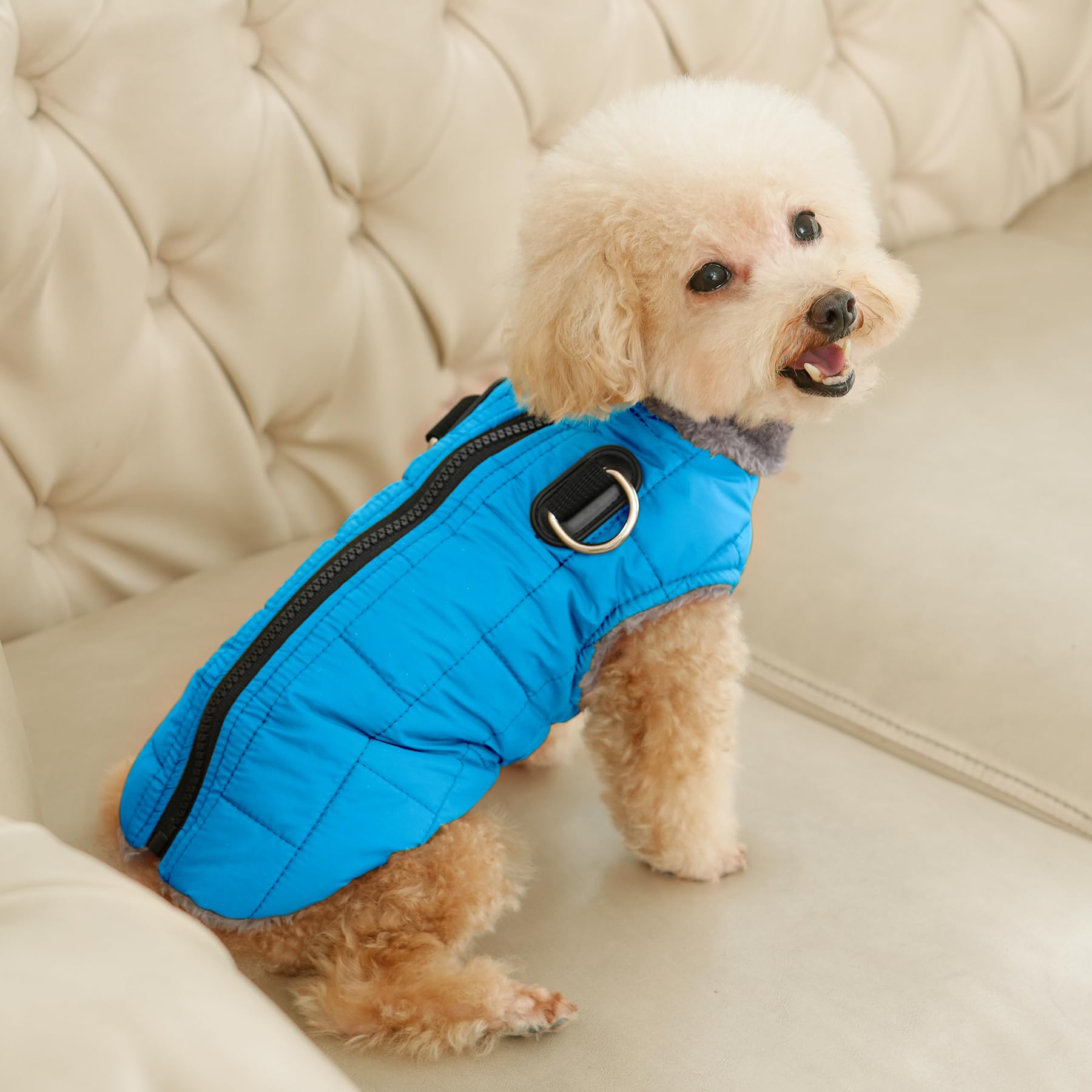 JoyDaog manteau-chien-finitions-solides-coutures-renforcees, durabilite au quotidien.
