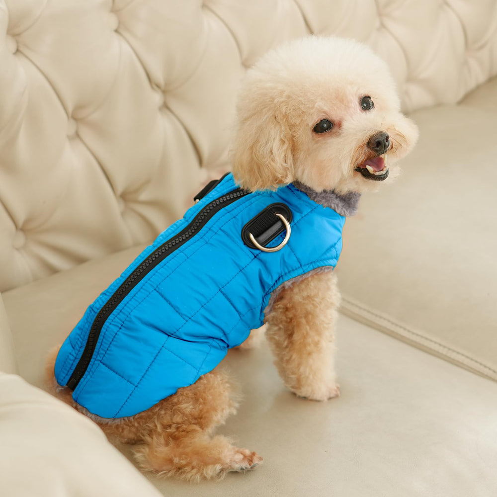 JoyDaog manteau-chien-finitions-solides-coutures-renforcees, durabilite au quotidien.