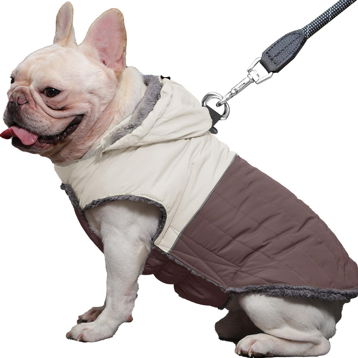 JoyDaog manteau chien avec harnais et capuche amovible, pratique pour les balades hivernales.