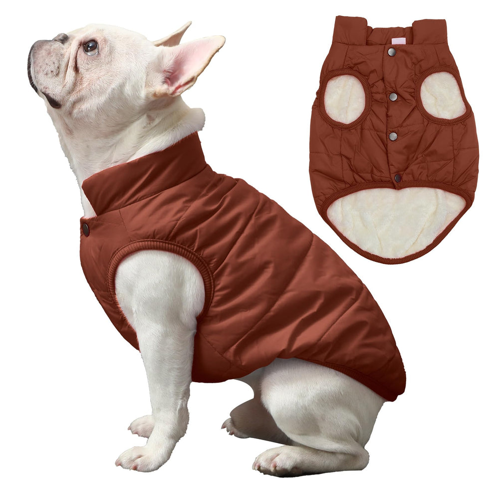 JoyDaog manteau chien hiver XXL brun, vue dos, coupe ajustée et durable.