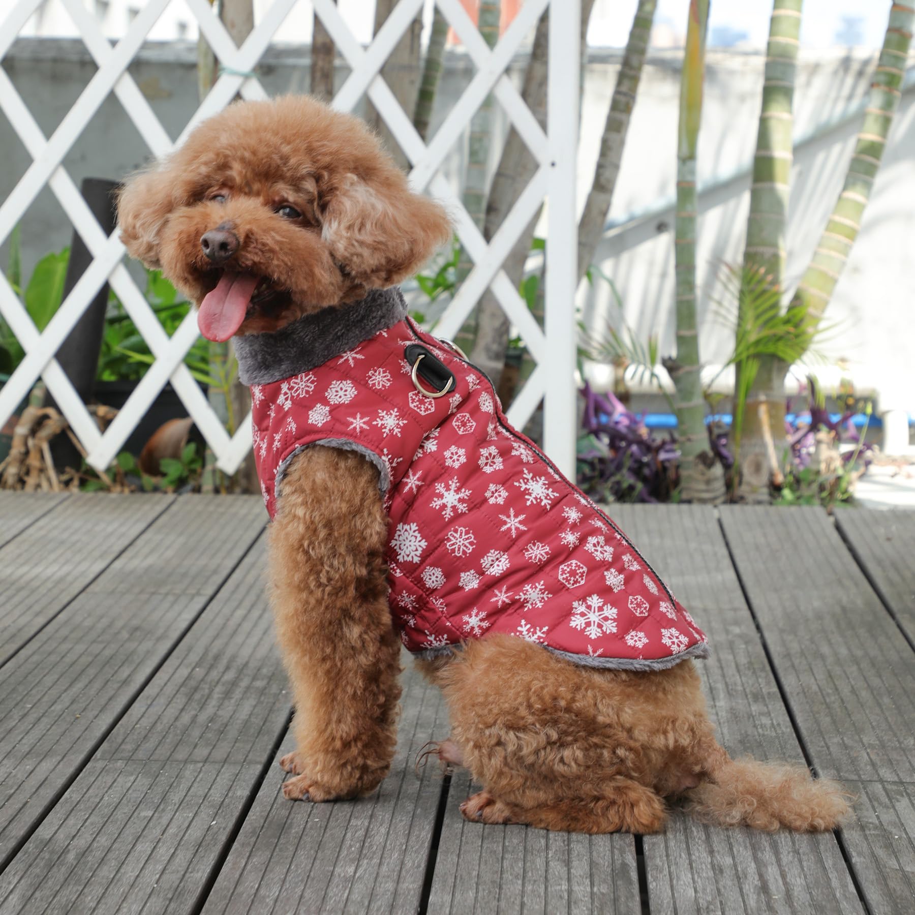 JoyDaog manteau chien motif neige rouge idéal sorties hivernales.