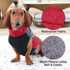 JoyDaog manteau chien moyen, vue arrière, protection contre le froid.