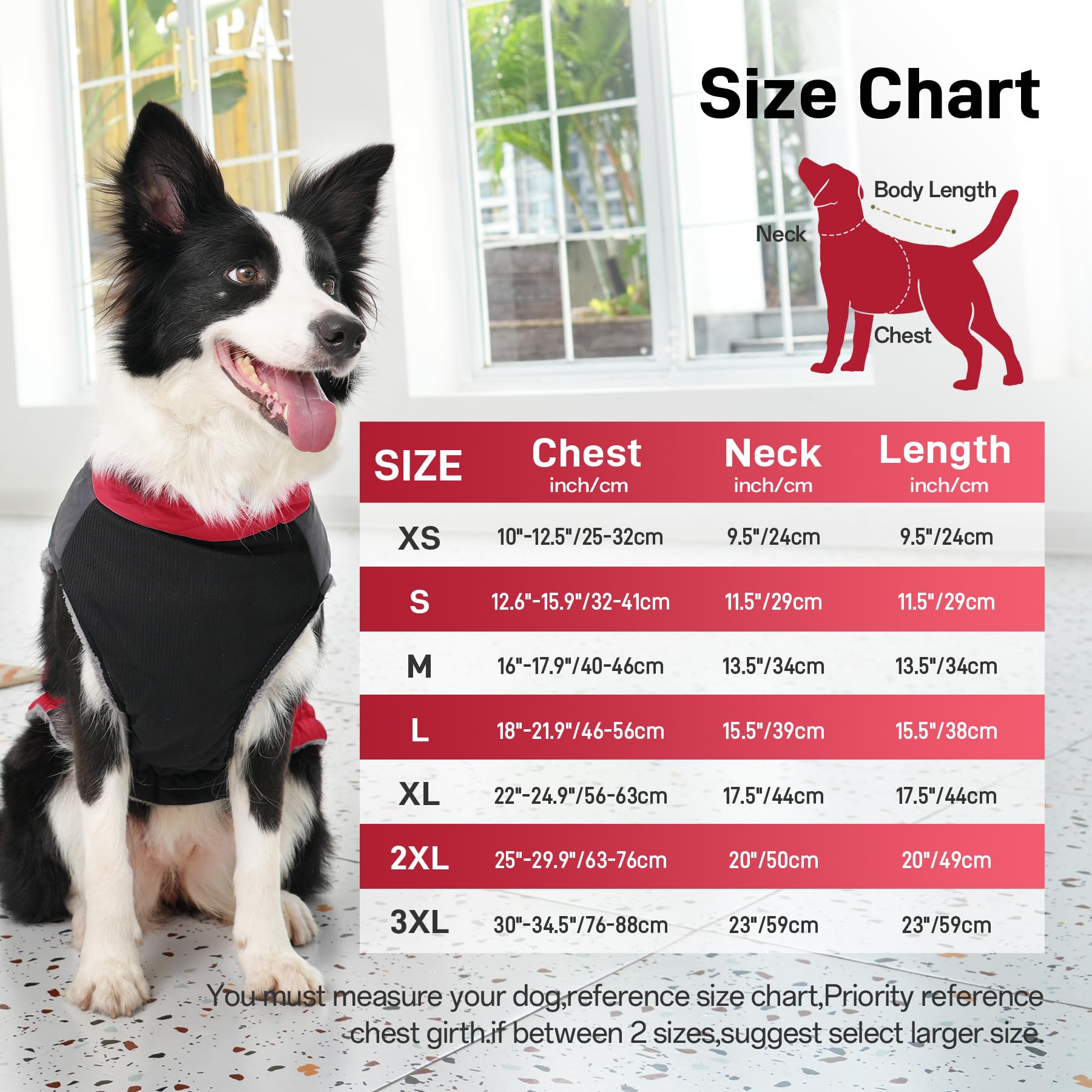 JoyDaog manteau chien moyen, fermeture zip, enfiler rapidement.