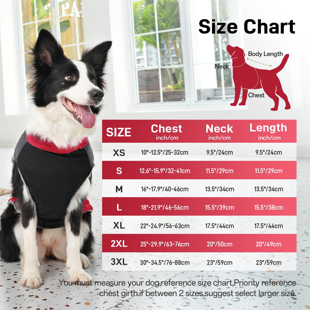 JoyDaog manteau chien moyen, fermeture zip, enfiler rapidement.