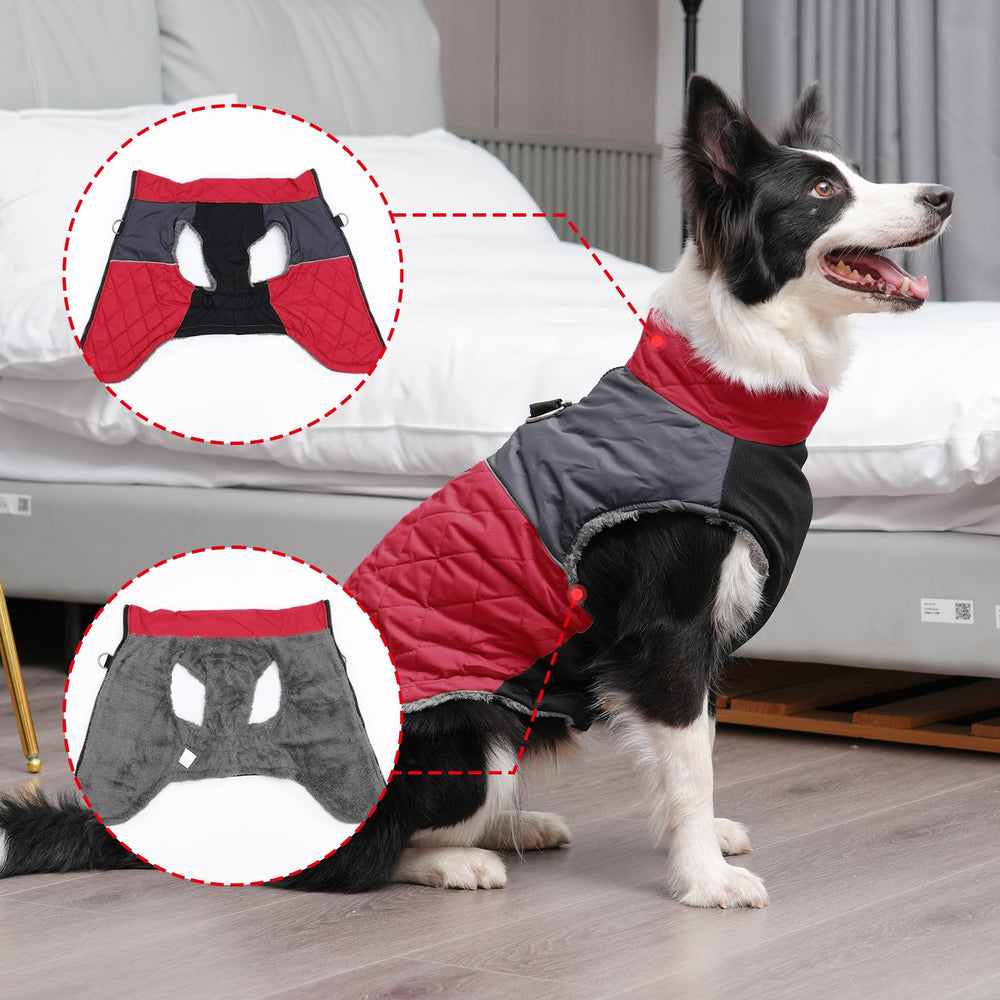JoyDaog manteau chien moyen, bandes reflectrices, visibilite nocturne accrue.