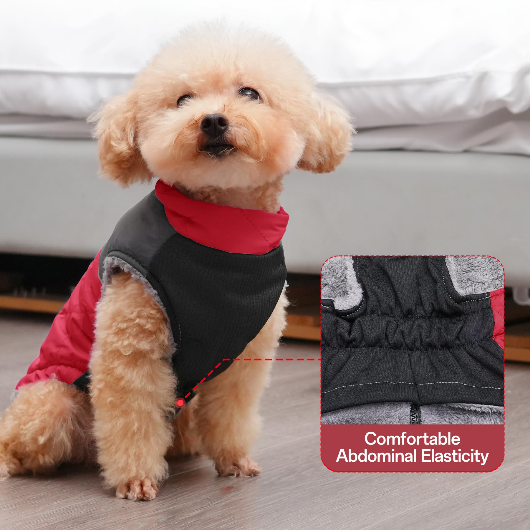 JoyDaog manteau chien moyen, tissu imperméable, protection légère contre la pluie.