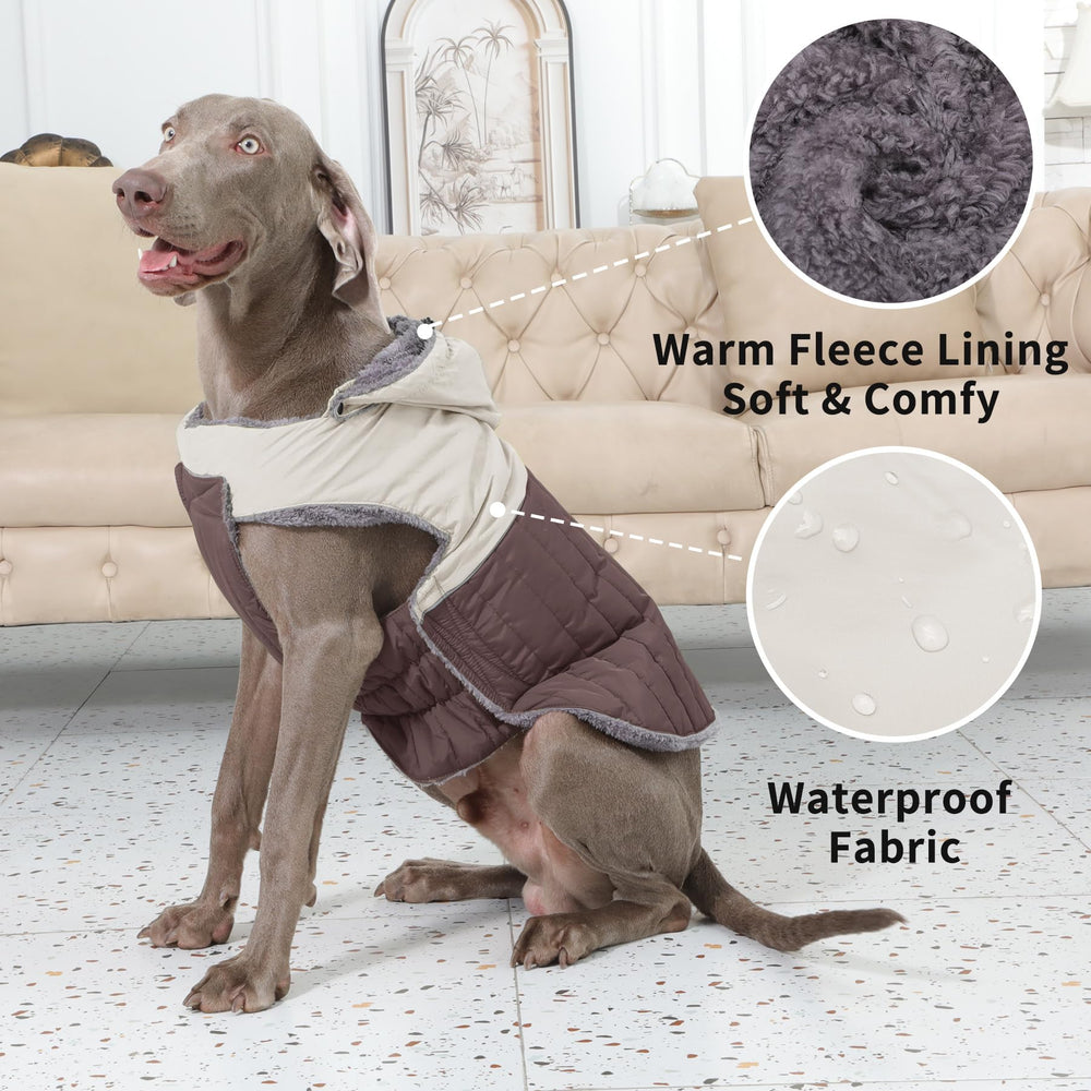 JoyDaog manteau chien réfléchissant, meilleure visibilité nocturne lors des sorties.