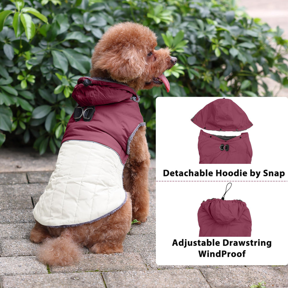 JoyDaog manteau réfléchissant pour une meilleure visibilité.