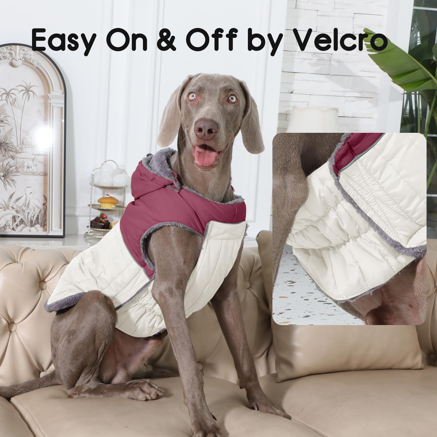 JoyDaog manteau hiver pour chien taille L prêt à l'emploi.