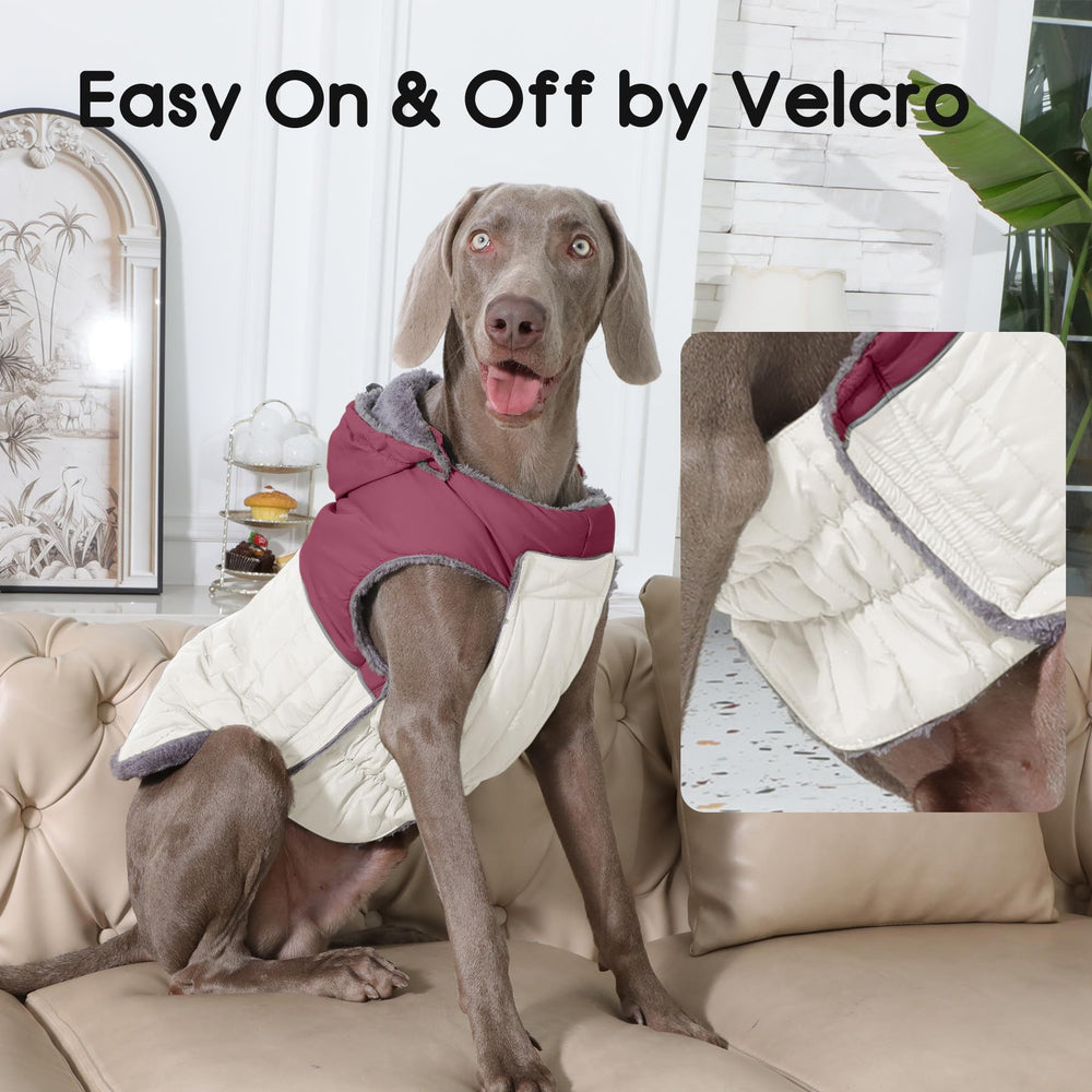 JoyDaog manteau hiver pour chien taille L prêt à l'emploi.
