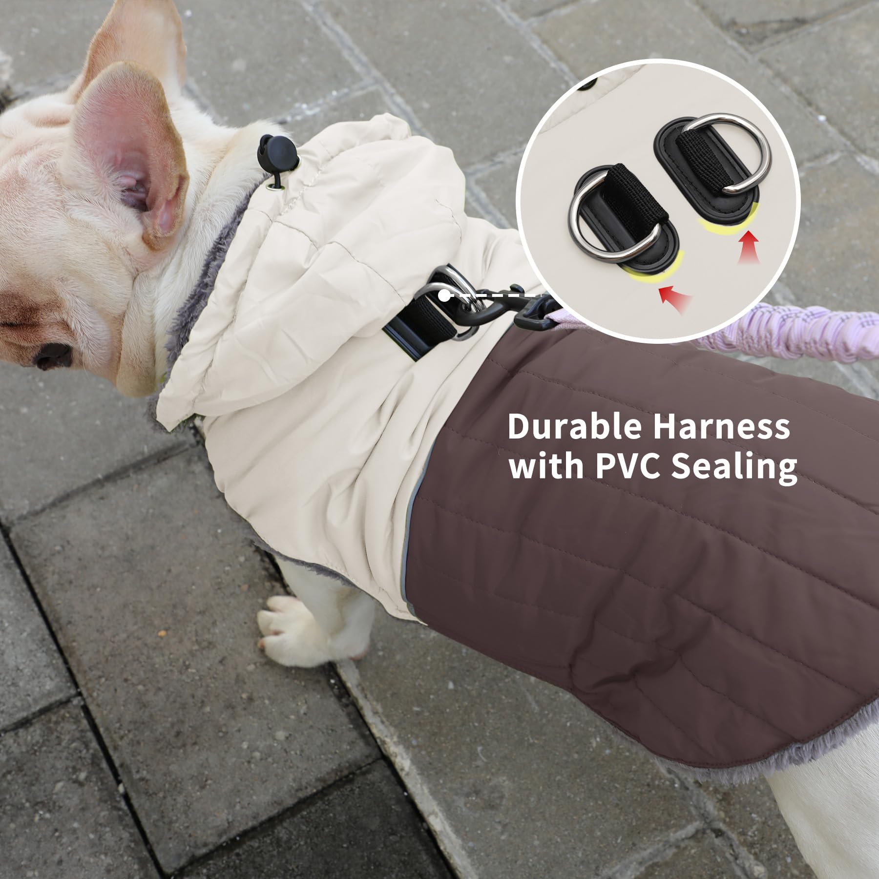 JoyDaog manteau chien taille reglable, confort ajusté à la silhouette du chien.