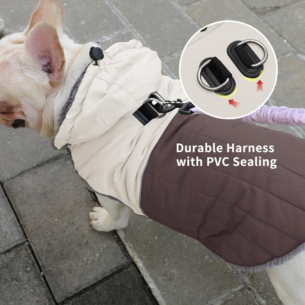 JoyDaog manteau chien taille reglable, confort ajusté à la silhouette du chien.
