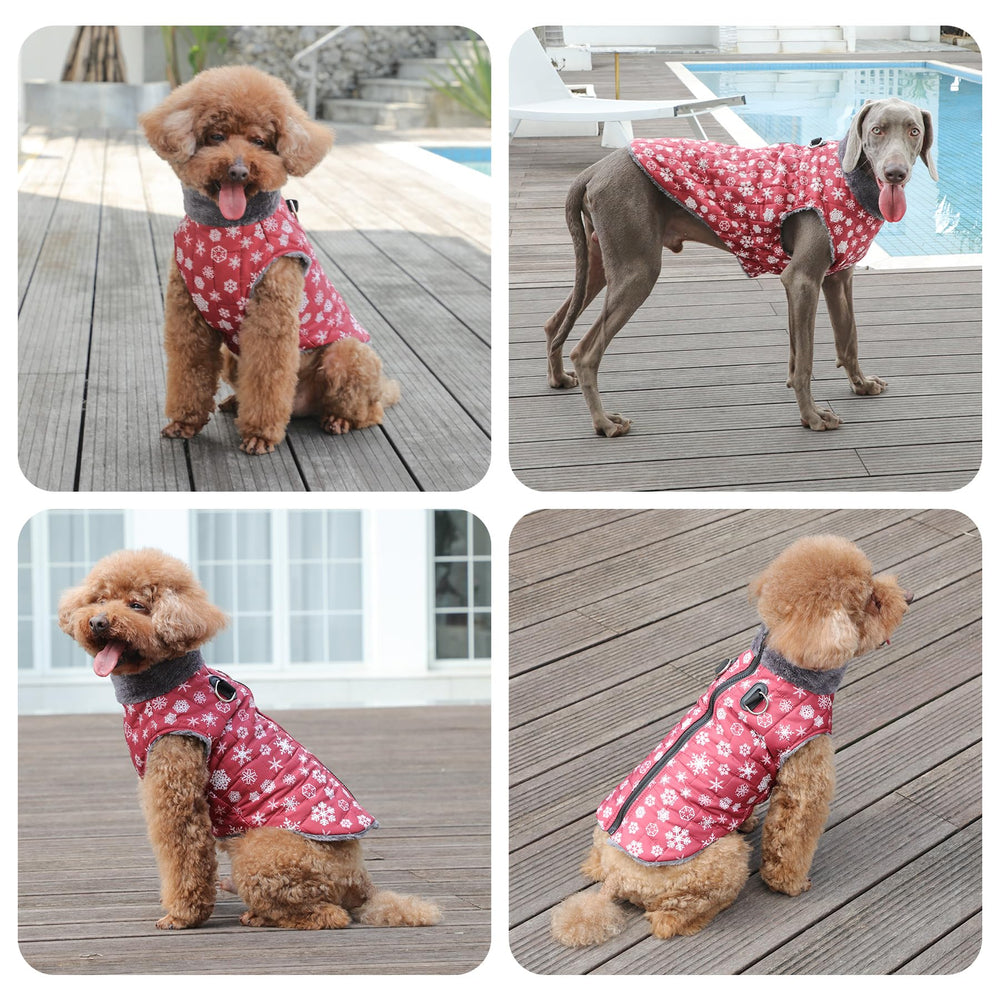 JoyDaog manteau chien tissu imperméable col polaire pour temps humide.